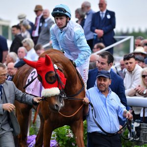 York | Dante Festival | 17/5/24