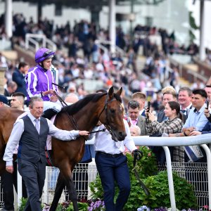 York | Dante Festival | 17/5/24