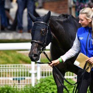 York | Dante Festival | 17/5/24