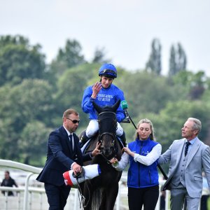 York | Dante Festival | 17/5/24