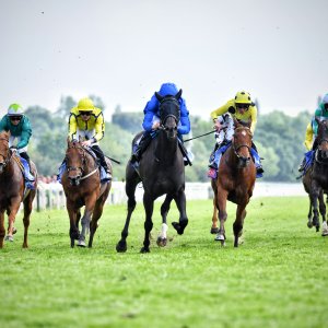 York | Dante Festival | 17/5/24