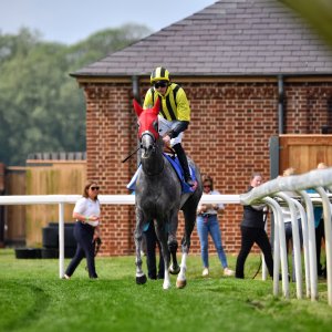 York | Dante Festival | 17/5/24