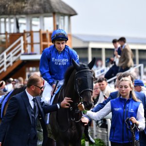 York | Dante Festival | 17/5/24