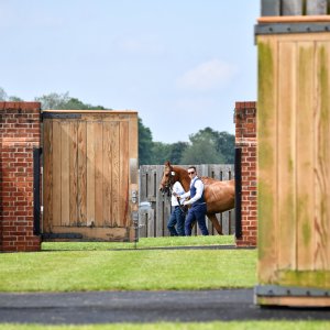York | Dante Festival | 17/5/24