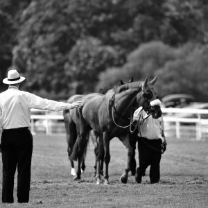 York | Dante Festival | 17/5/24