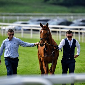 York | Dante Festival | 17/5/24