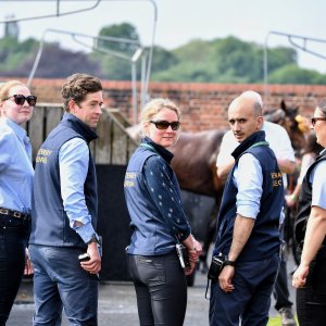 York | Dante Festival | 17/5/24