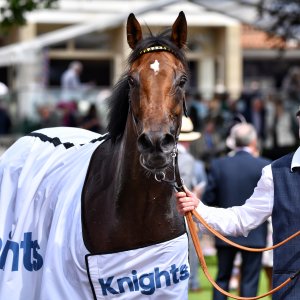 York | Dante Festival | 17/5/24