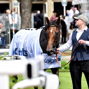 York | Dante Festival | 17/5/24