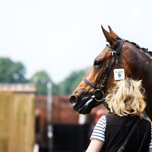 York | Dante Festival | 17/5/24