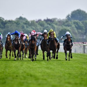 York | Dante Festival | 17/5/24