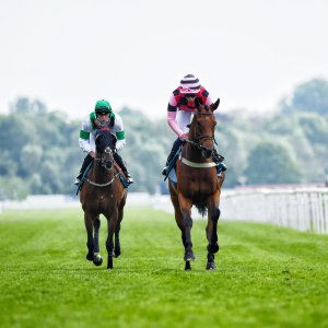 York | Dante Festival | 17/5/24