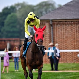 York | Dante Festival | 17/5/24