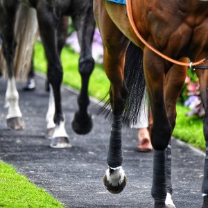 York | Dante Festival | 17/5/24