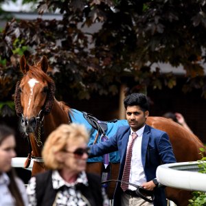 York | Dante Festival | 17/5/24