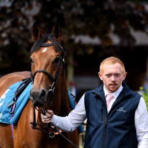 York | Dante Festival | 17/5/24