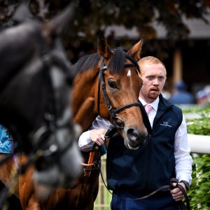 York | Dante Festival | 17/5/24