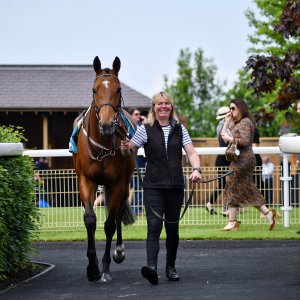 York | Dante Festival | 17/5/24