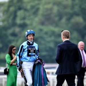 York | Dante Festival | 17/5/24