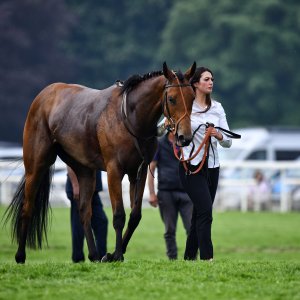 York | Dante Festival | 17/5/24