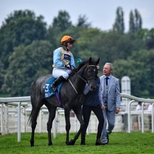 York | Dante Festival | 17/5/24