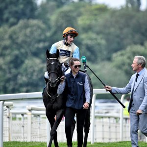 York | Dante Festival | 17/5/24