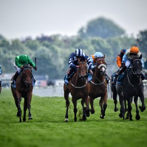 York | Dante Festival | 17/5/24