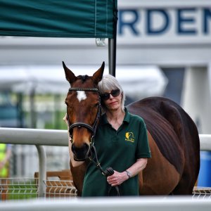 York | Dante Festival | 17/5/24