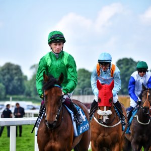 York | Dante Festival | 17/5/24