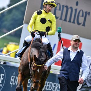 York | Dante Festival | 17/5/24