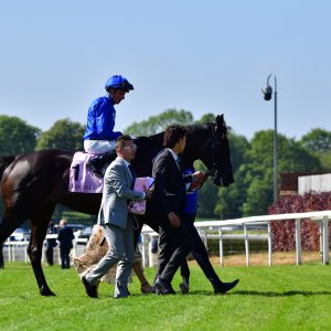 York | Dante Festival | 15,16/5/25