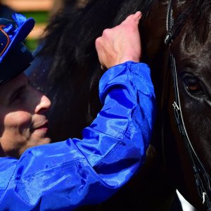 York | Dante Festival | 15,16/5/25