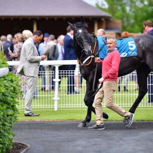 York | Dante Festival | 15,16/5/25