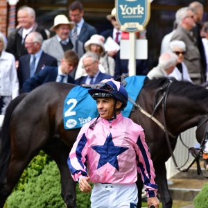 York | Dante Festival | 15,16/5/25