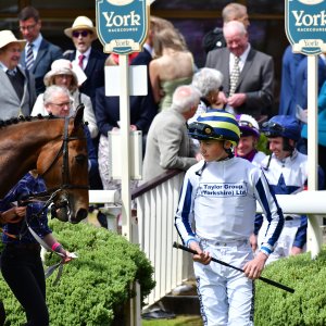 York | Dante Festival | 15,16/5/25