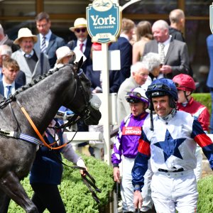 York | Dante Festival | 15,16/5/25