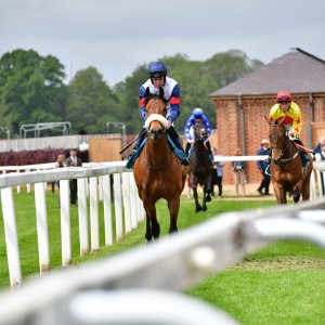 York | Dante Festival | 15,16/5/25