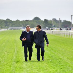 York | Dante Festival | 15,16/5/25