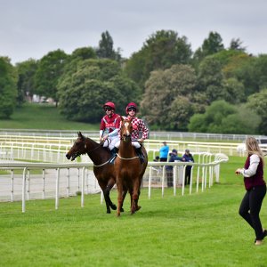 York | Dante Festival | 15,16/5/25