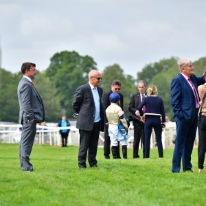 York | Dante Festival | 15,16/5/25