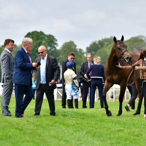 York | Dante Festival | 15,16/5/25