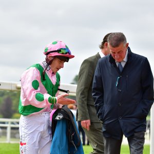 York | Dante Festival | 15,16/5/25