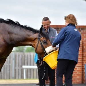 York | Dante Festival | 15,16/5/25