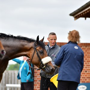 York | Dante Festival | 15,16/5/25