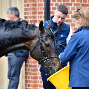 York | Dante Festival | 15,16/5/25
