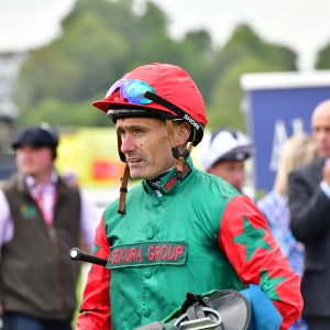 York | Dante Festival | 15,16/5/25