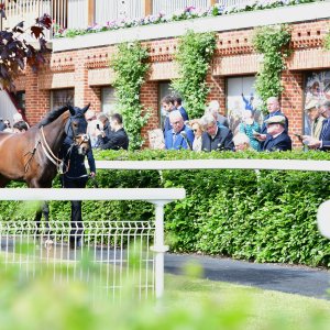 York | Dante Festival | 15,16/5/25