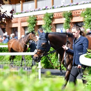 York | Dante Festival | 15,16/5/25