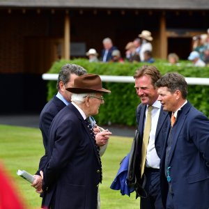 York | Dante Festival | 15,16/5/25