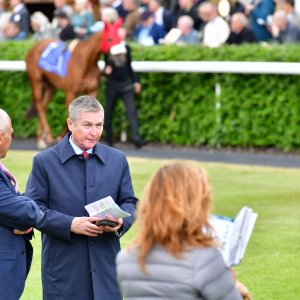 York | Dante Festival | 15,16/5/25